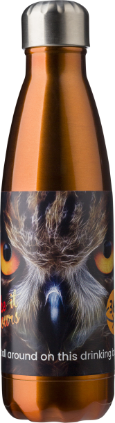 Stainless steel bottle (650 ml)
