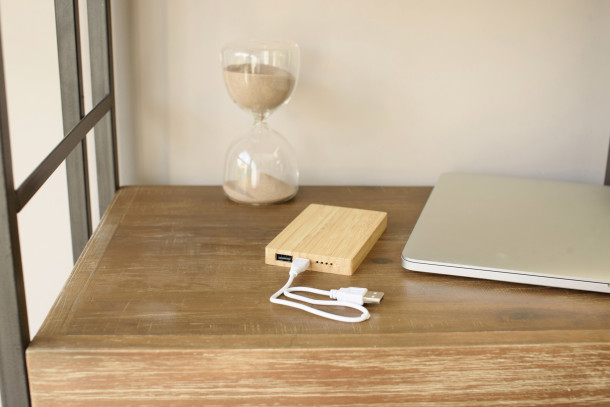 Bamboo power bank