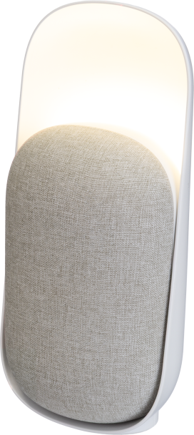 Recycled speaker