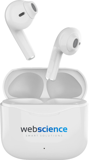 Wireless earbuds